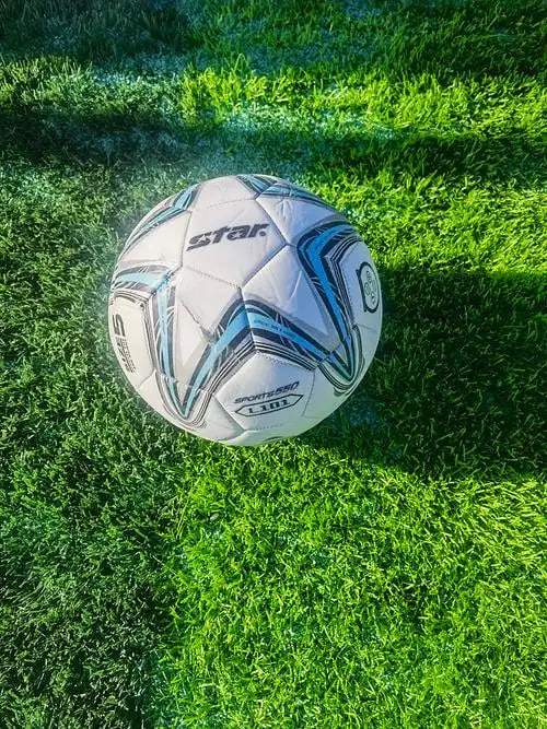 足球球迷实时观赛场景